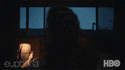 Season 1 Yes GIF by euphoria