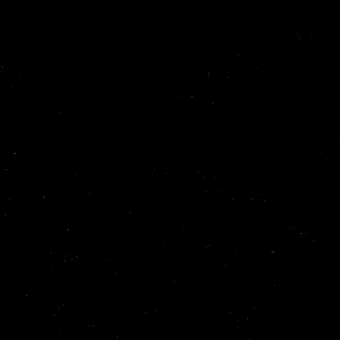Hockey Nikita GIF by Eisbären Berlin