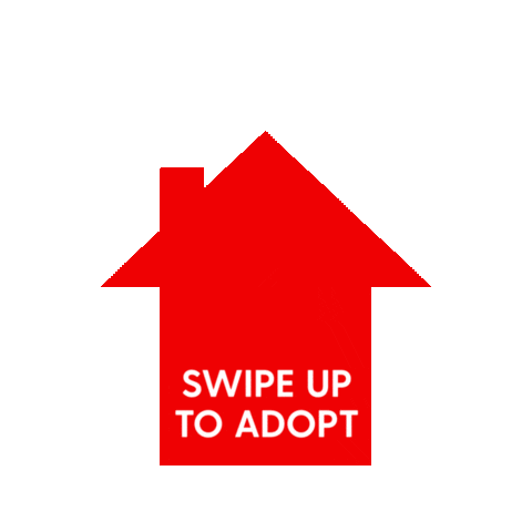 swipe up project home Sticker by The Dodo