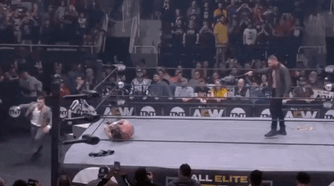 Chris Jericho ÄEw GIF by All Elite Wrestling on TNT