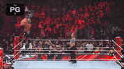 Wwe Wrestling GIF by USA Network