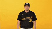 Cal State La Sport GIF by Cal State LA Golden Eagles