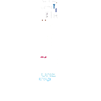 Grammys2019 Sticker by Recording Academy / GRAMMYs