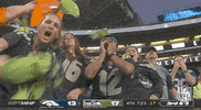 Seattle Seahawks Football GIF by NFL