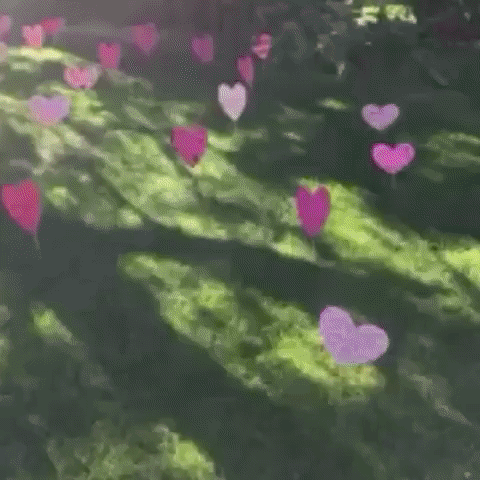 app love GIF by The Videobook