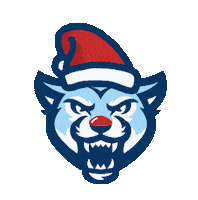 Merry Christmas Sticker by Mount Vernon Nazarene University