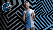 Fists Win GIF by BS+COMPETITION