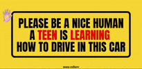 Student Driver GIF by mom culture®