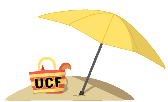 ucf knights beach Sticker by University of Central Florida