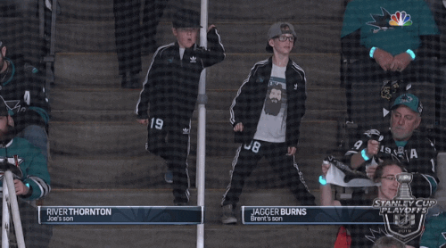 ice hockey dancing GIF by NHL