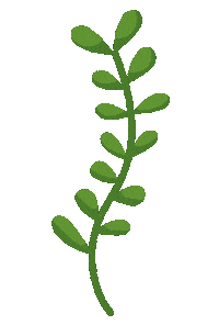 Plant Leaf Sticker by Kew Gardens
