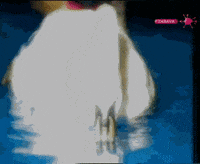 Swan Ceca GIF