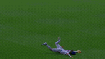 New York Mets Sport GIF by MLB