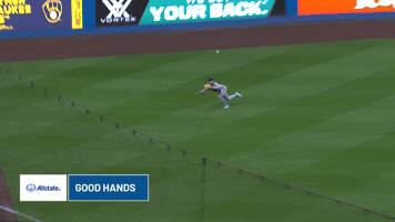 New York Mets Sport GIF by MLB
