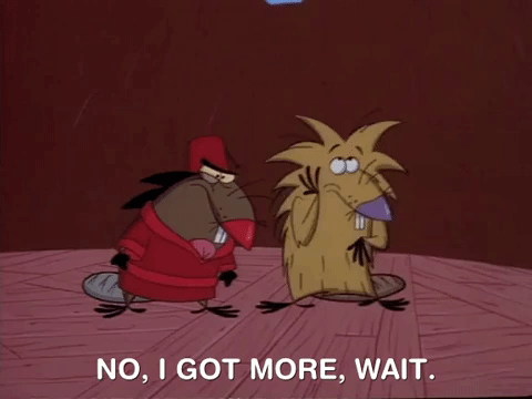 nickrewind giphydvr nicksplat angry beavers giphyab010 GIF