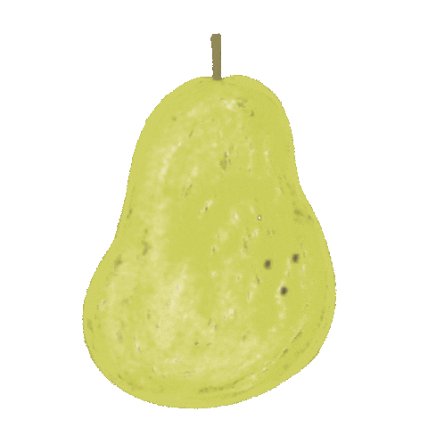 Fruit Sticker