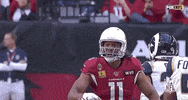 2019 Nfl Football GIF by NFL