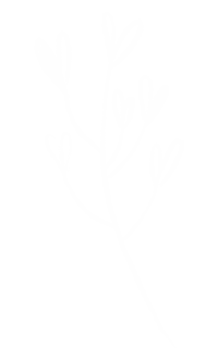White Line Sticker by MM DESIGNER