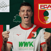 Cedric Zesiger Football GIF by FC Augsburg 1907