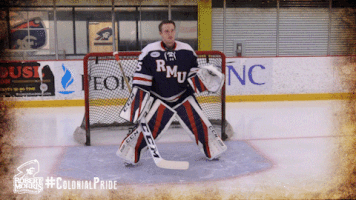 happy ice hockey GIF by Robert Morris University Athletics