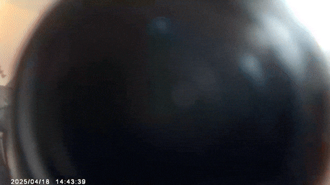 Magfish GIF by 1990retro