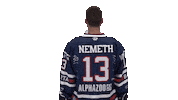 Ice Hockey Sport Sticker by Fehervar AV19