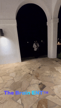GIF by The Brain Ent