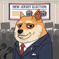 New Jersey Wow GIF by Doge Pound