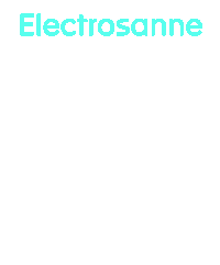 Lausanne Swissmusic Sticker by Electrosanne Festival