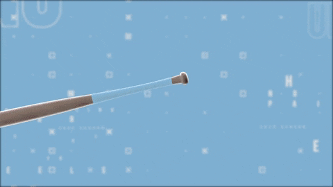 North Carolina Baseball GIF by UNC Tar Heels