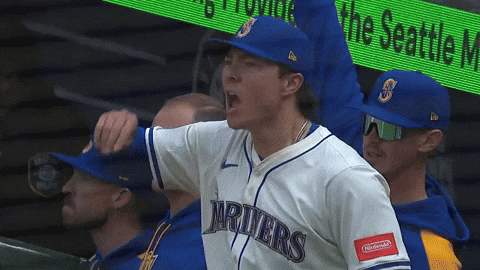 Celebrate Lets Go GIF by MLB