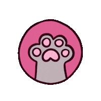 Cat Kitty Sticker