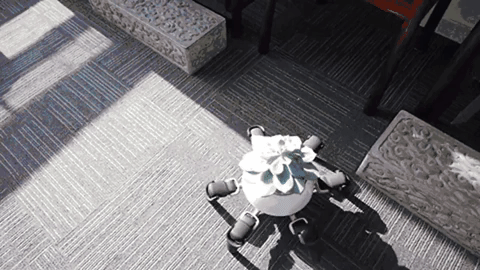 Animated GIF