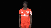 DFCO balde dfco GIF