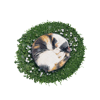 Sleepy Good Night Sticker