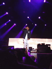 bonnaroo GIF by mtv