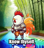 Know Thyself Self-Discovery GIF by Zorooster