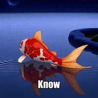 Peace Know GIF by TheConfishius