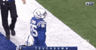 2018 Nfl Football GIF by NFL