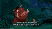 The Lion King Sarcasm GIF