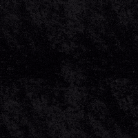 Women In Film Camera GIF