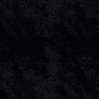 Women In Film Camera GIF