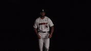 University Of Louisville Baseball GIF by Louisville Cardinals