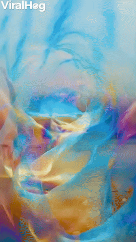 View From Inside a Giant Soap Bubble