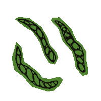 plantage vegan healthy berlin organic Sticker