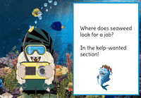 Under The Sea Gnome GIF