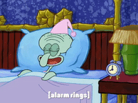 season 8 episode 3 GIF by SpongeBob SquarePants