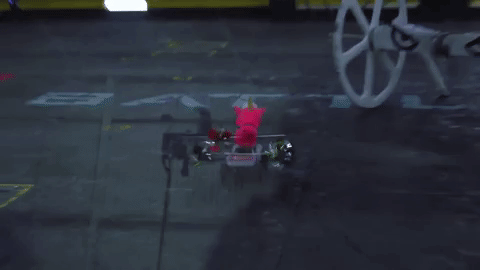 funny GIF