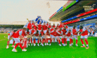 Arsenal GIF by memes