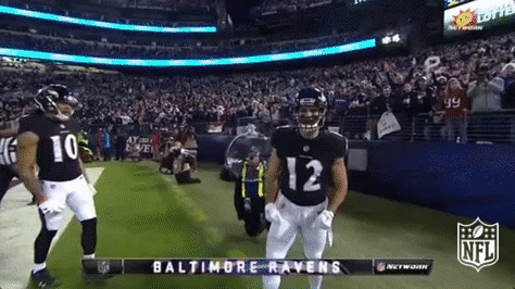 Baltimore Ravens Football GIF by NFL